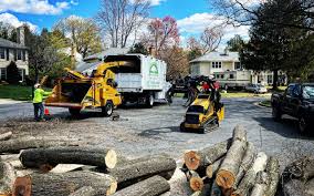 Best Artificial Turf Installation  in Woodstock, GA