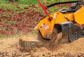 Best Arborist Consultation Services  in Woodstock, GA